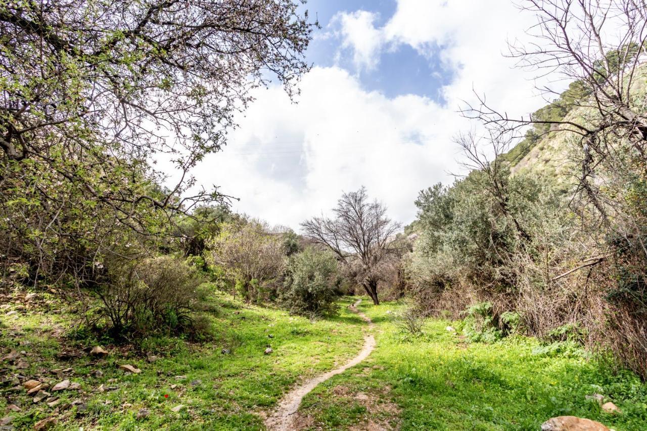 Rosh Pinna Home With A View מראה חיצוני תמונה